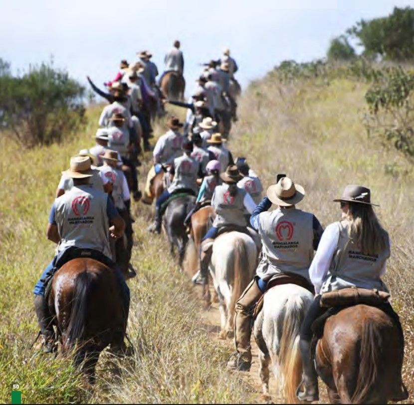 UM RETORNO ÀS ORIGENS